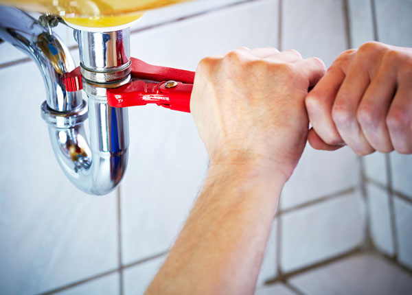 About Minnie Plumbers